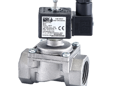 ESKA SELENOİD VANA DİŞLİ 12V